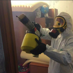 Уничтожение клопов в квартире. Когалым